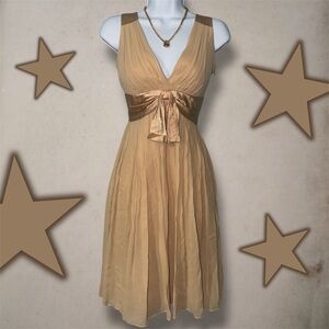 Stunning Y2K Style Maggy London 100% Silk Chiffon Champagne Cocktail Dress